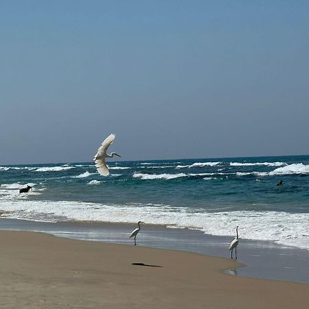Go To Apartments In Leonardo Bat Yam Exterior photo